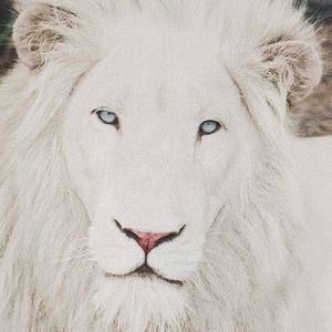 Meet your Posher, Sean